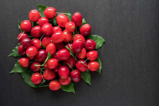 istock Little red wild apples on black background. 1335068399
