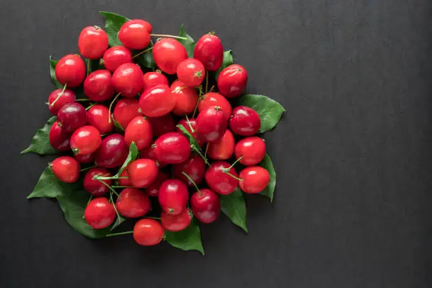 Bunch of small red wild apples on black background with copy space for text. Autumn concept. Fall flat lay.