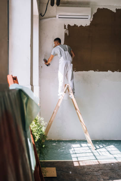 istock Back View of An Anonymous Man Plastering Wall at Home 1335074889