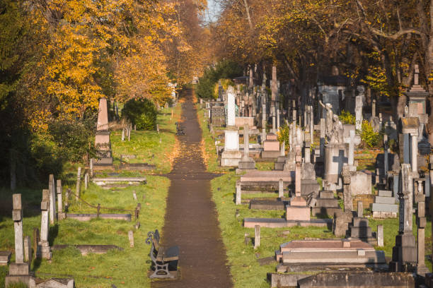 Brompton Cemetery in London during autumn