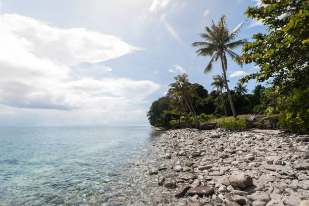 istock beach view on island of borneo - malaysia 1335077355