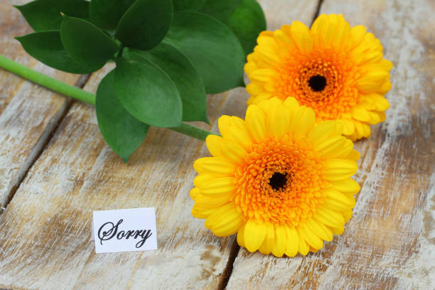 istock Sorry card with two yellow gerbera daisies on rustic wooden surface 1335077392