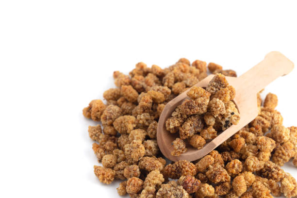 Dried mulberry banner