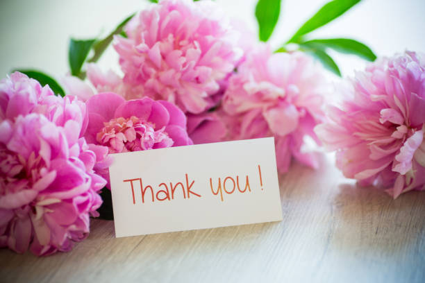 istock several branches of blooming pink peonies on a wooden table 1335079659