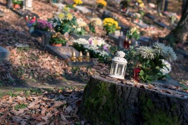 istock funeral concept, All Saints Day in cemetery 1335081446