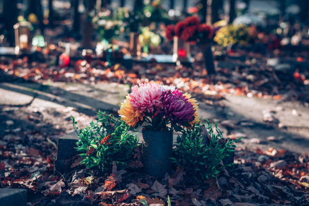 istock All Saints Day in cemetery 1335081631