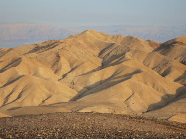 Negev Desert landscape, Israel