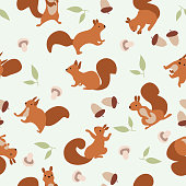 Seamless pattern with squirrels, nuts and mushrooms. Vector flat illustration with wild cute animal on green backdrop background.