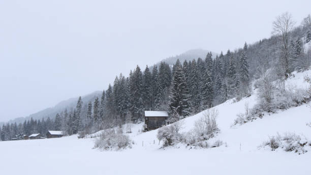 istock Snow covered forest and small chalet in the Bernese Oberland. 1335083563