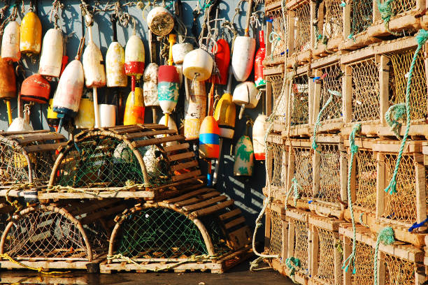 istock Lobster traps and Buoys 1335085089