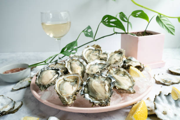 Straight on view of a plate of oysters on ice