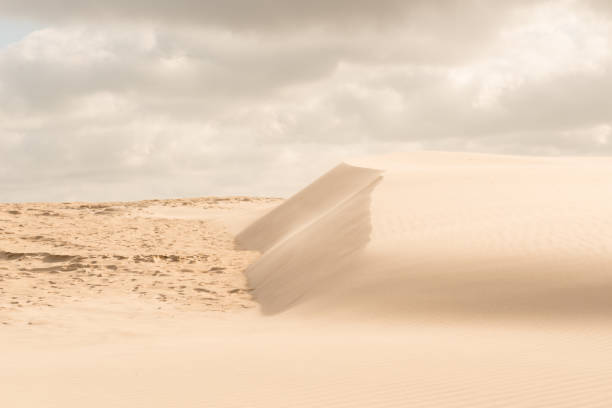 istock Fine texture and lines of sandy dunes in a desert.. 1335086252
