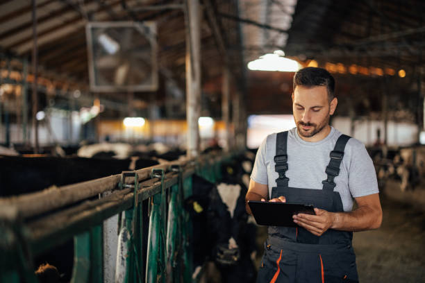 istock Adult man, modernizing his farm. 1335086397