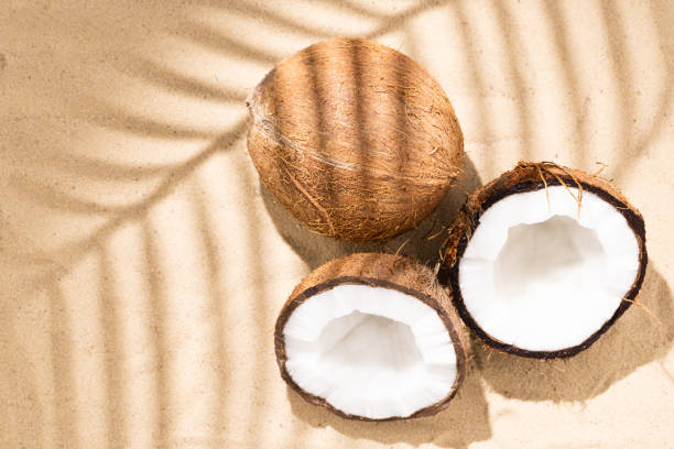istock coconut on the sand. Tropical beach and coconuts, background with copy space. Travel and Beach Vacation 1335088763