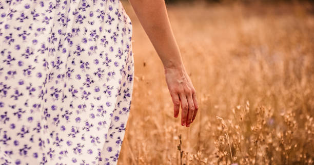 istock Hand touching yellow grass and spikes in field 1335088797