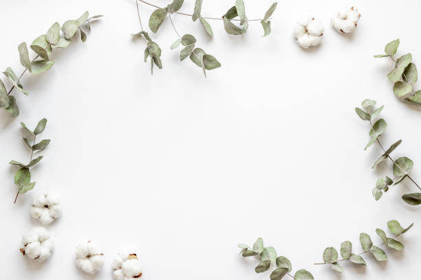 istock Round frame floral pattern with eucalyptus leaves and cotton 1335089383