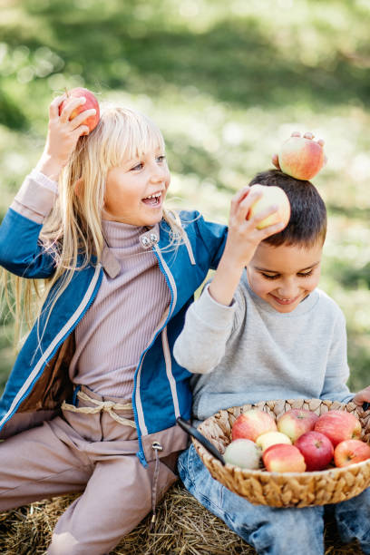 istock Children with Apple in Orchard. Harvest Concept. 1335091196