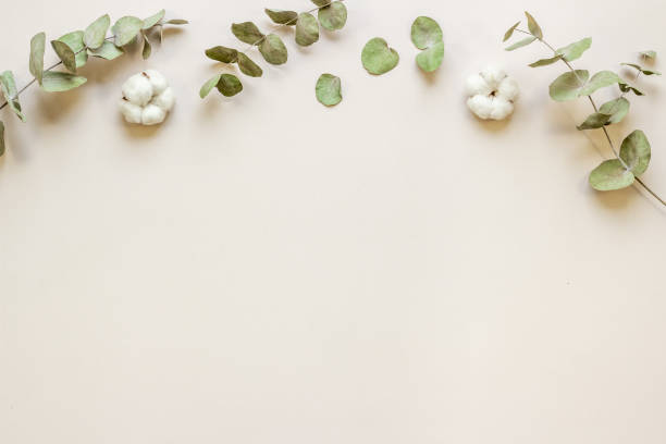 istock Floral flat lay pattern with eucalyptus leaves and cotton 1335092841