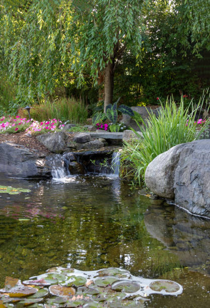 istock Landscape architecture for spring and summer garden with water feature 1335092946