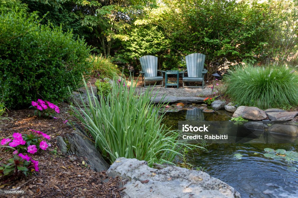 Landscape architecture for spring and summer garden with water feature Landscape architecture with pink flowers and ornamental grasses for summer garden with water feature Back Yard Stock Photo