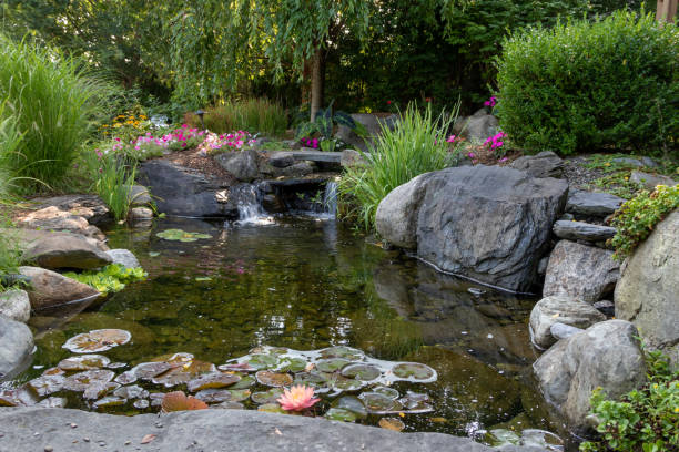 Landscape architecture for spring and summer garden with water feature stock photo