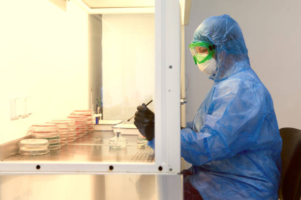 istock Researcher working with petri dish with bacteria in bacteriological laboratory. Concept of Pharmaceutical Development for Antibiotics, Curing Disease 1335093886