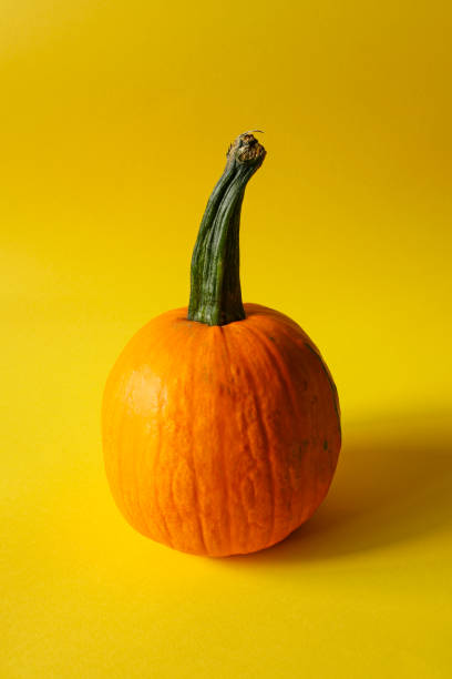 istock raw pumpkin on yellow 1335093915