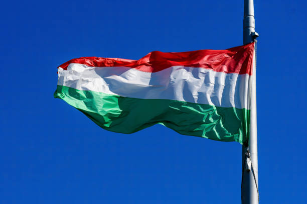 晴れた日に晴れた青空に向かって直射日光の下で風に吹くハンガリーの国旗 - clear sky sky sunny day isolated ストックフォトと画像