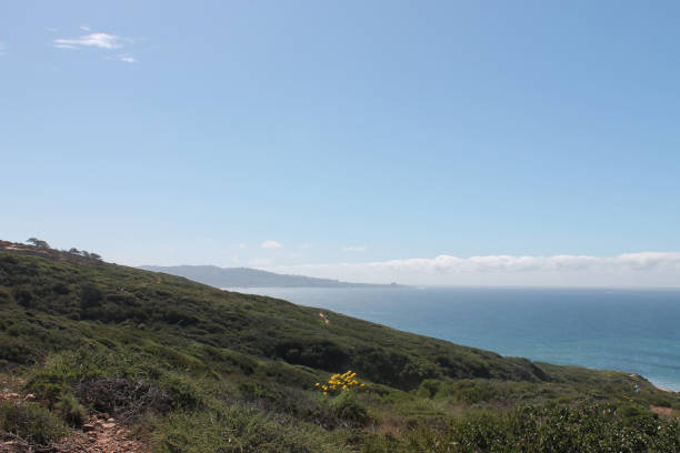 istock Torrey Pines Nature Reserve 1335096375