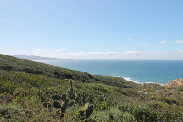 istock Torrey Pines Nature Reserve 1335096393