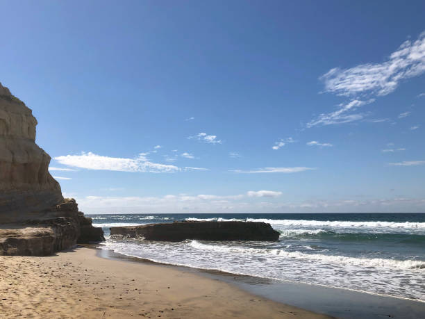 istock Torrey Pines Nature Reserve 1335096622