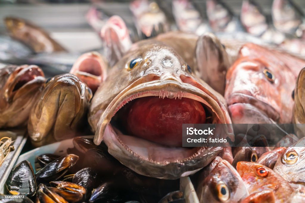Raw chilled fresh fish in the refrigerator at the supermarket, healthy food concept, food background Animal Stock Photo