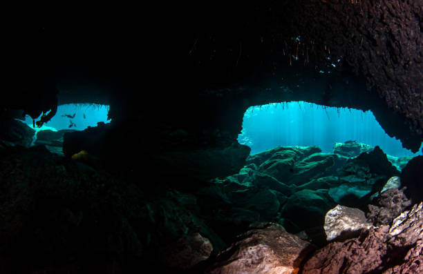 istock Scuba diving in the Casa Cenote, Tulum, Mexico 1335097985