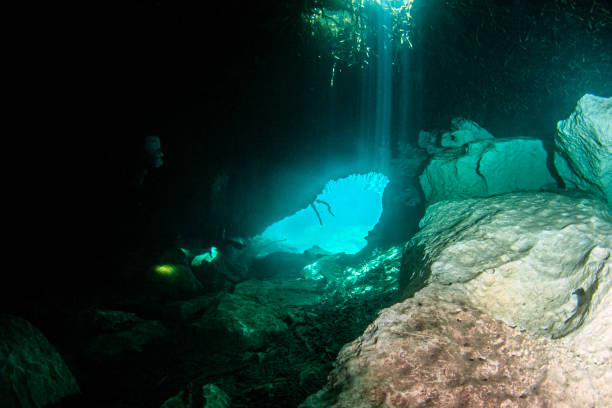 istock Scuba diving in the Casa Cenote, Tulum, Mexico 1335098010