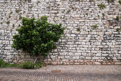 Images from Northern Italy. Part of the old surrounding city wall in Trento in Alto Adige