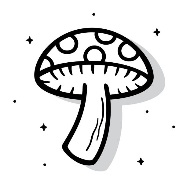 illustrations, cliparts, dessins animés et icônes de griffonnage de champignons 5 - magic mushroom psychedelic mushroom fungus