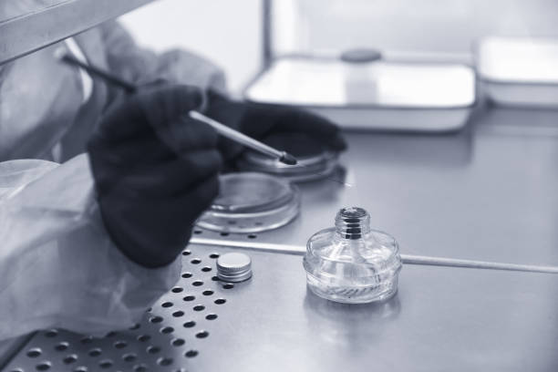 istock Researcher working with petri dish with bacteria in bacteriological laboratory. Concept of Pharmaceutical Development for Antibiotics, Curing Disease 1335100951