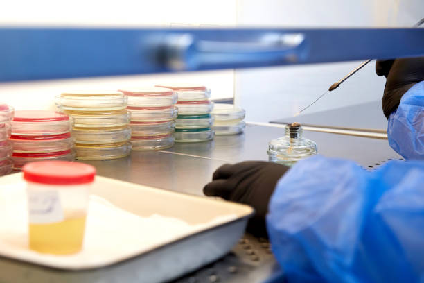 istock medical technologist doing urine test in medical laboratory wearing protective uniform 1335107703