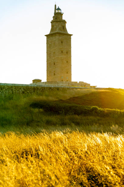istock Towe of Hercules (La Coruna, Spain). 1335109671