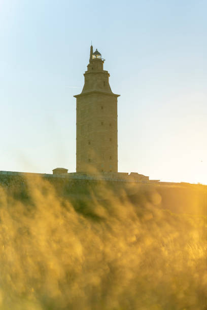 istock Towe of Hercules (La Coruna, Spain). 1335109674