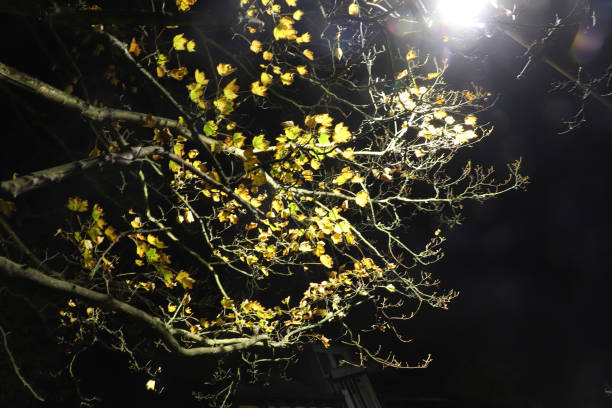 istock Darkness on a stroll through the streets of hertford 1335115764