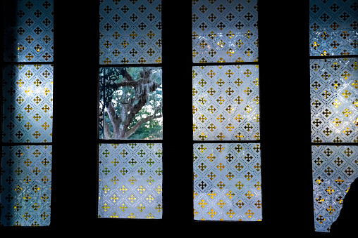 View of tree through the front door window panel, from the inside looking out, at the Myrtles Plantation, one of America's most haunted places, Great River Road, St. Francisville, Louisiana, USA