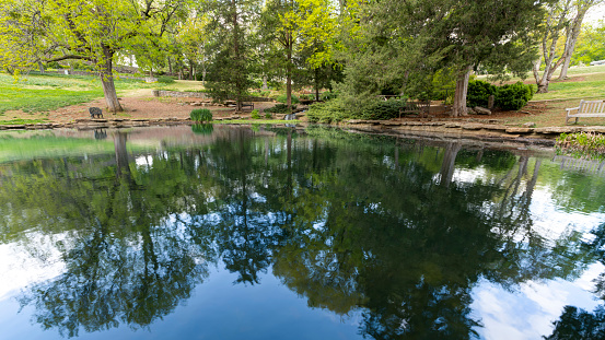 Water Garden at Cheekwood Estate and Gardens, Nashville, Tennessee, USA