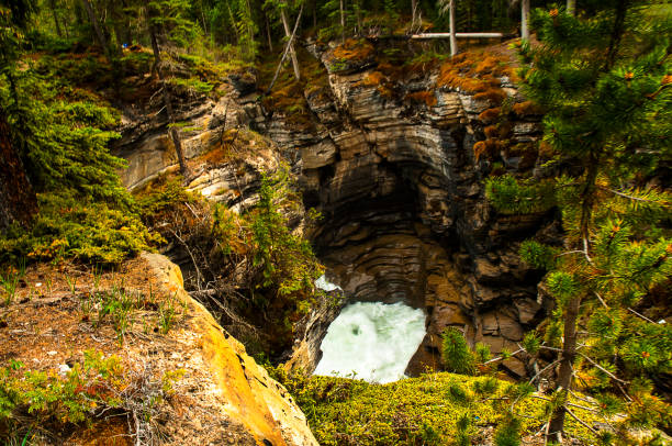istock The Athabasca Falls on the Athabasca River in Jasper National Park. 1335129828