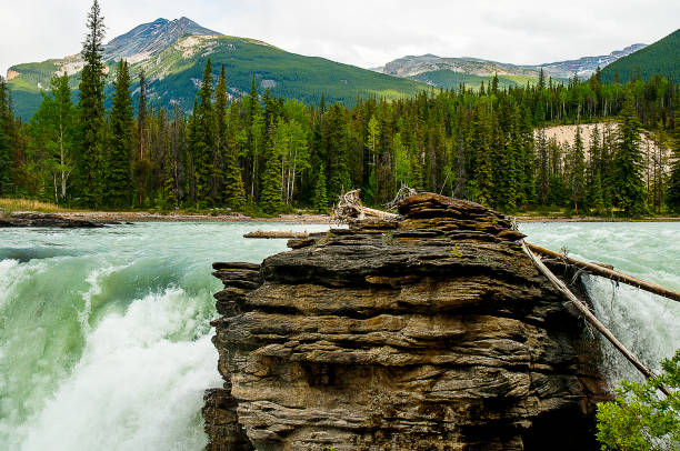 istock The Athabasca Falls on the Athabasca River in Jasper National Park. 1335129831