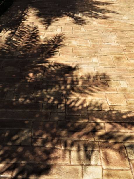 istock Stylish coastal area with palm tree shadow. 1335129866