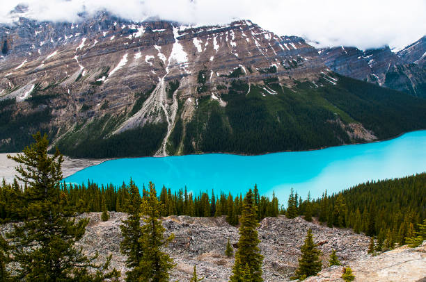 istock Lake Peyto in Jasper National Park Canada 1335129892