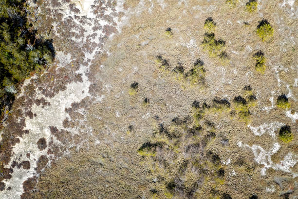istock Drone Aerial Landscape 1335131806