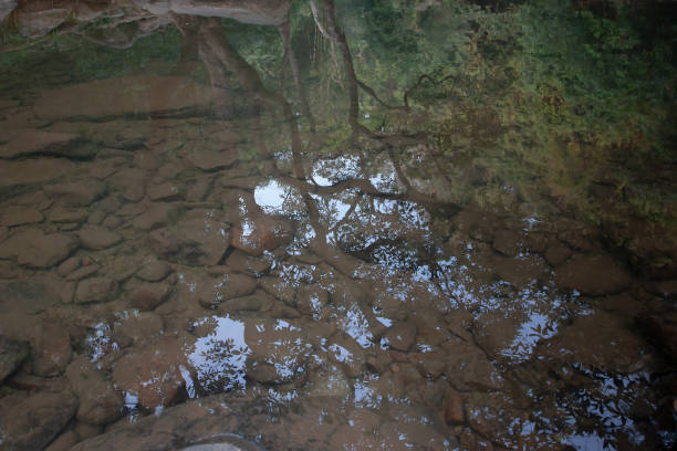 istock a small pond at the uppon river, Shing Mun Reservior 1335138137