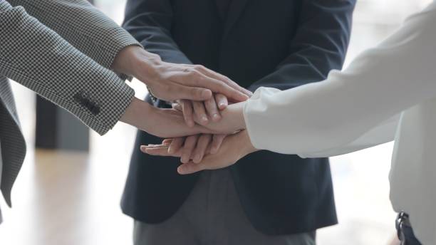 group of business people holding hands together group of business people holding hands together coalition photos stock pictures, royalty-free photos & images